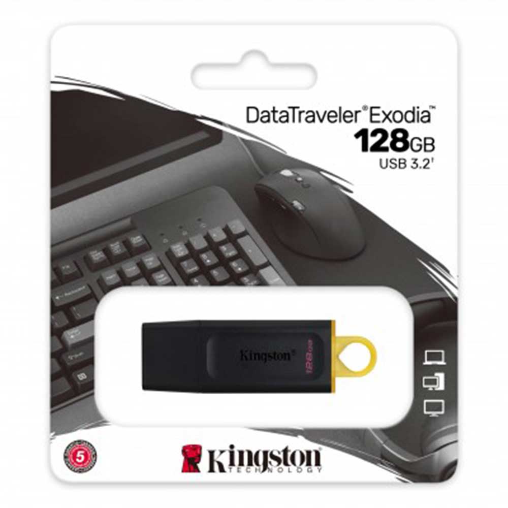 Memoria USB Kingston Technology DTX/128GB