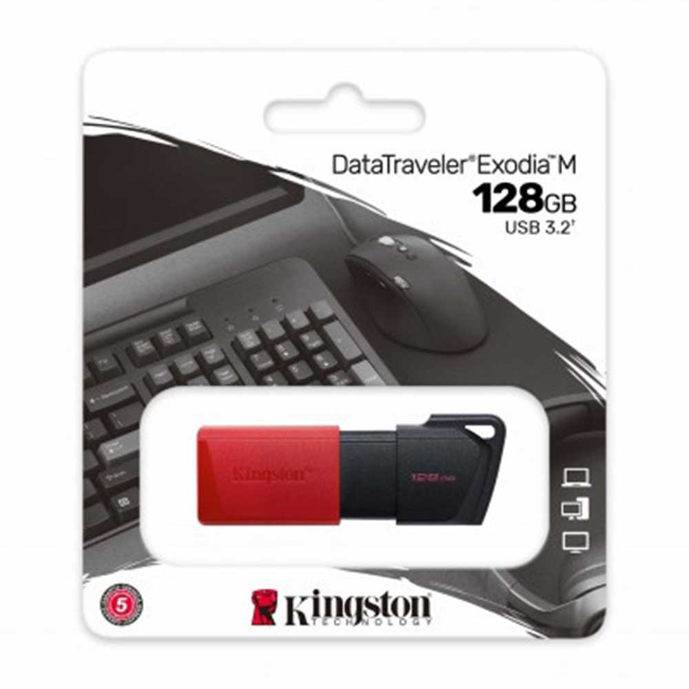 Memoria USB Kingston Technology DTXM/128GB