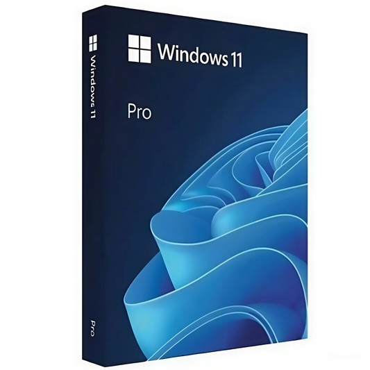 Windows 11 Pro